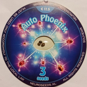 Auto Phoenix Feminised