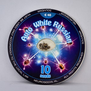 Auto White Russian Feminised 