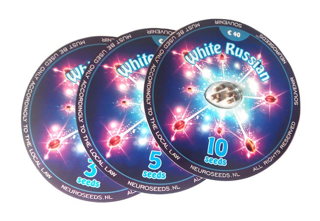 White Russian Feminised