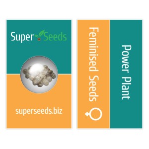 Power Plant Feminised