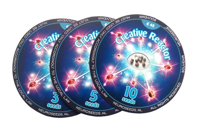 Creative Reactor Feminised