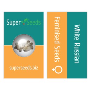 White Russian Feminised