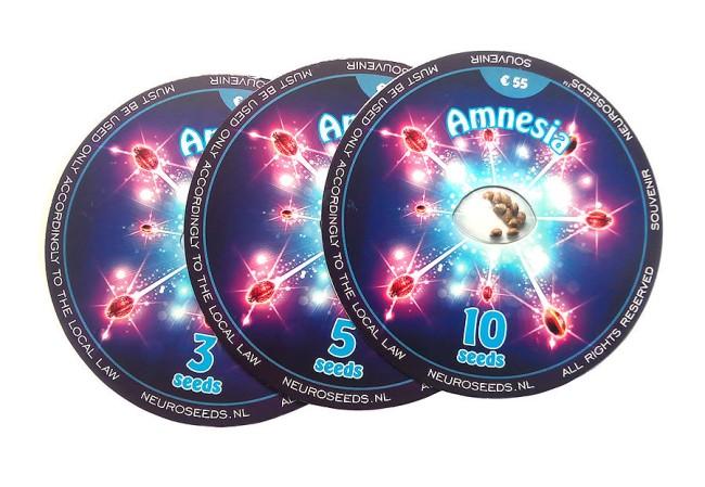Amnesia Feminised