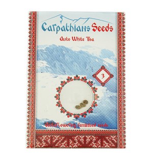 Auto White Tisa Feminised