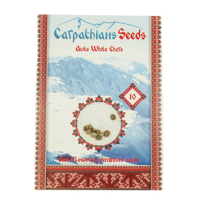 Auto White Chere Feminised Auto White Chere Feminised