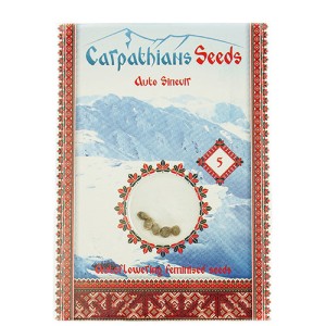 Auto Sinevir Feminised