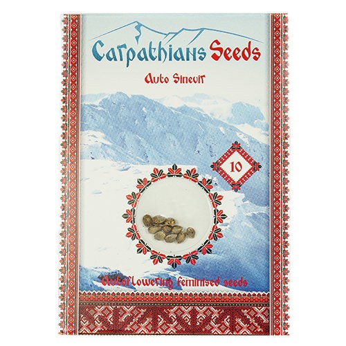 Auto Sinevir Feminised Auto Sinevir Feminised