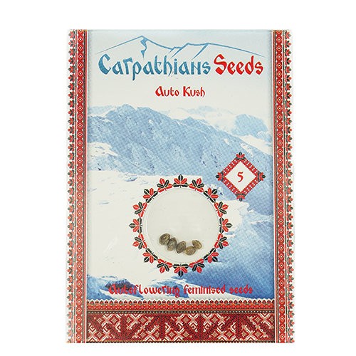 Auto Kush Feminised Auto Kush Feminised