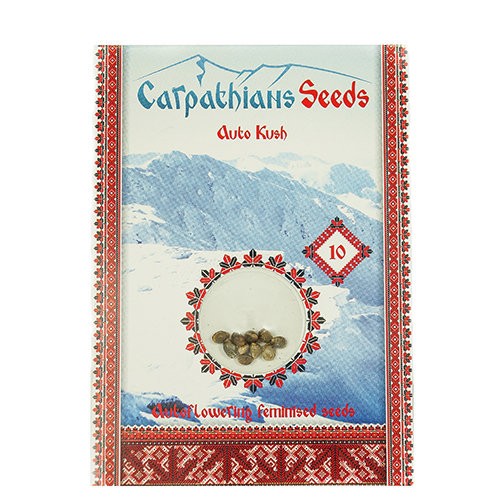 Auto Kush Feminised Auto Kush Feminised