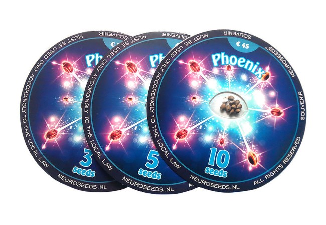Phoenix Feminised