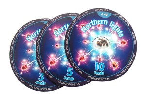 Northern Lights Feminised