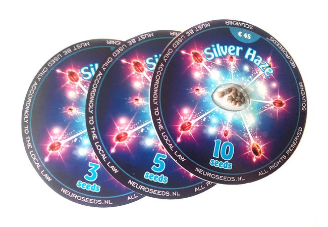 Silver Haze Feminised