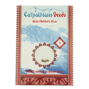 Auto Northern Blue Feminised