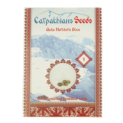 Auto Northern Blue Feminised