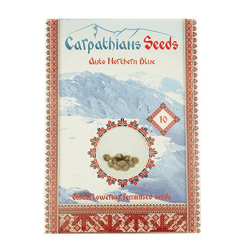 Auto Northern Blue Feminised