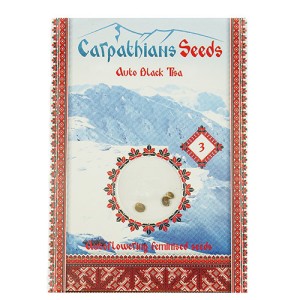 Auto Black Tisa Feminised