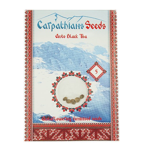 Auto Black Tisa Feminised Auto Black Tisa Feminised