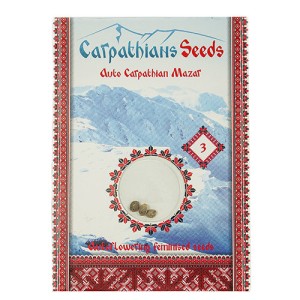 Auto Carpathian Mazar Feminised