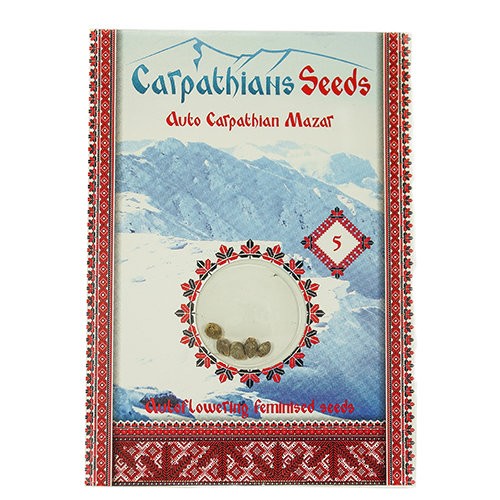 Auto Carpathian Mazar Feminised Auto Carpathian Mazar Feminised