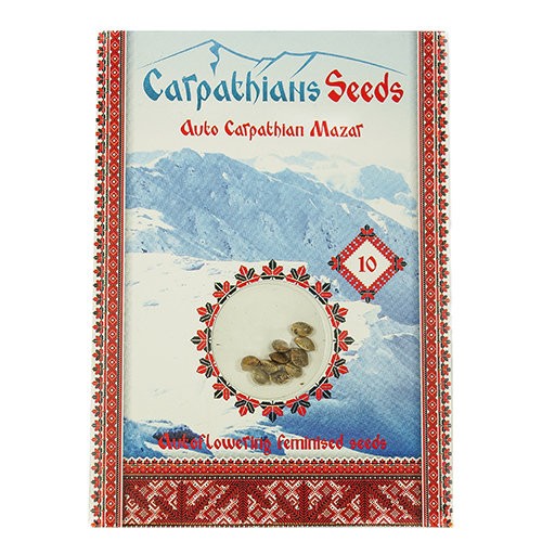 Auto Carpathian Mazar Feminised Auto Carpathian Mazar Feminised