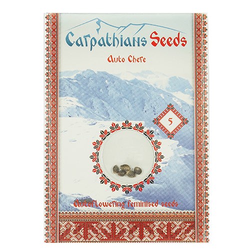 Auto Chere Feminised Auto Chere Feminised