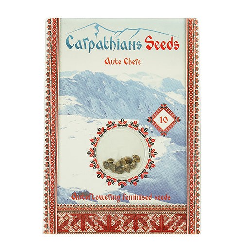 Auto Chere Feminised Auto Chere Feminised