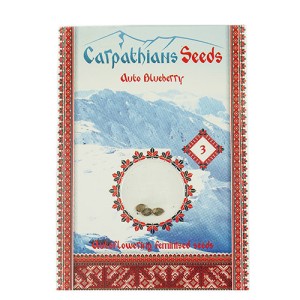 Auto Blueberry Feminised