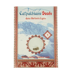 Auto Northern Lights Feminised