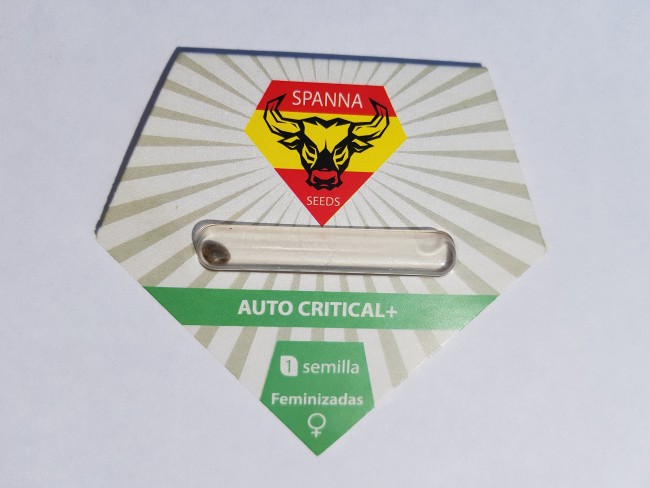 Аuto Critical+ fem