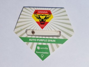 Auto Purple Spain fem