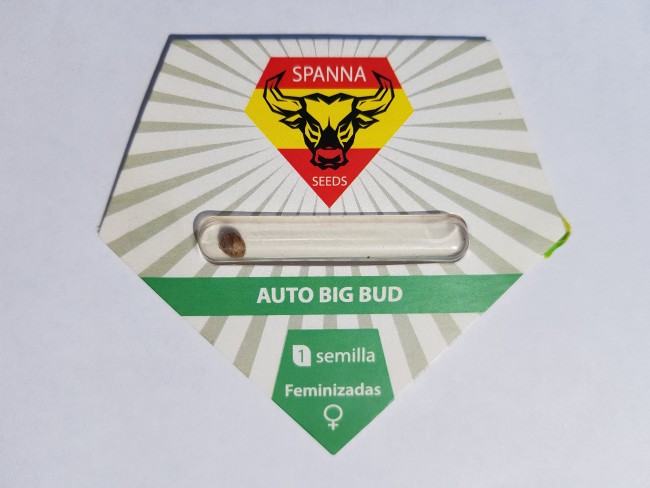 Auto Big Bud fem