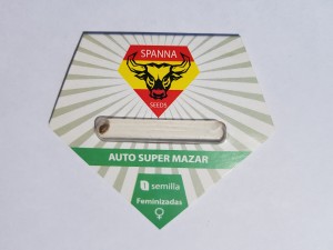 Auto Super Mazar fem