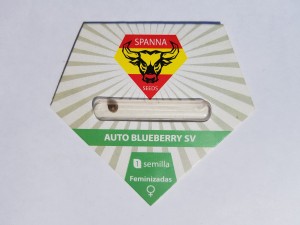 Auto Blueberry sv fem