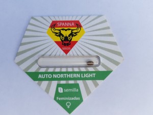 Auto Nothern Light Fem
