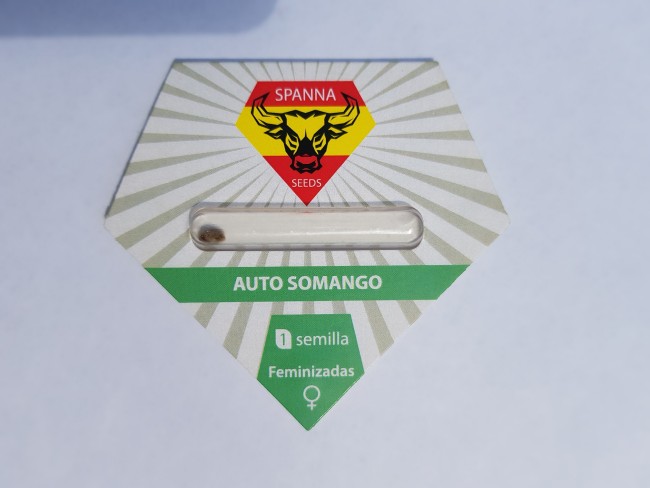 Auto Somango fem