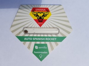 Auto Spanihs Rocket Fem