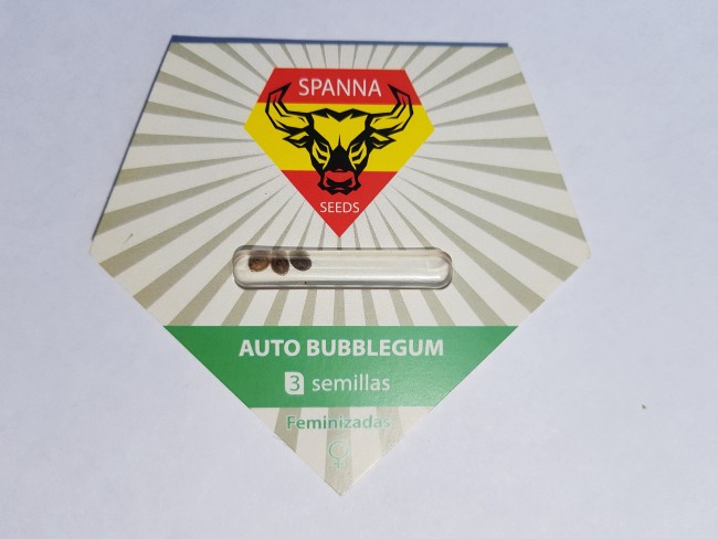 Auto Bubble Gum Fem