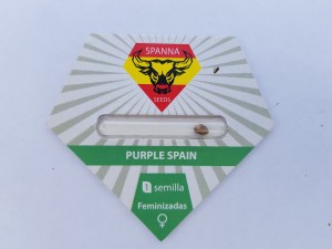 Purple Spain fem