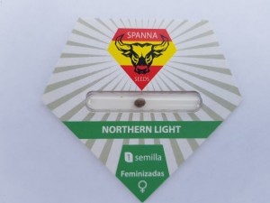 Northern Lights feminised