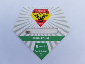 Bubble Gum feminised