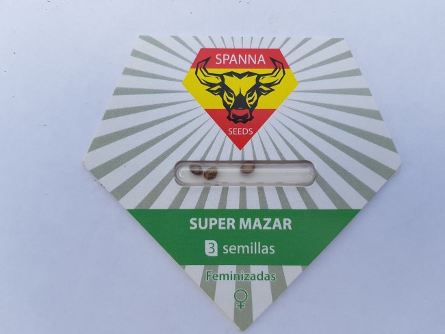 Super Mazar feminised