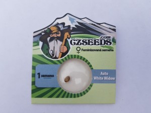 Auto White Widow  fem