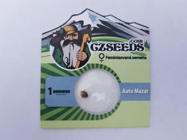 Auto Mazar fem
