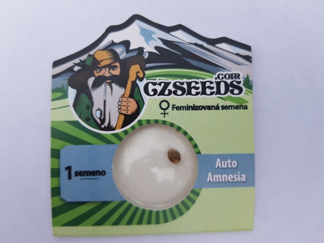 Auto Amnesia fem