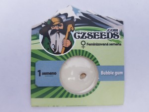 Bubble Gum feminised